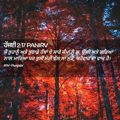 Picture 02 - ਹੱਜਈ 2:17 PANIRV - ਮੈਂ ਤੁਹਾਨੂੰ ਅਤੇ - Bible Verse Picture