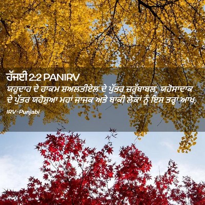 Picture 02 - ਹੱਜਈ 2:2 PANIRV - ਯਹੂਦਾਹ ਦੇ ਹਾਕਮ - Bible Verse Picture
