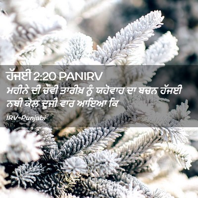 Picture 02 - ਹੱਜਈ 2:20 PANIRV - ਮਹੀਨੇ ਦੀ ਚੌਵੀ - Bible Verse Picture