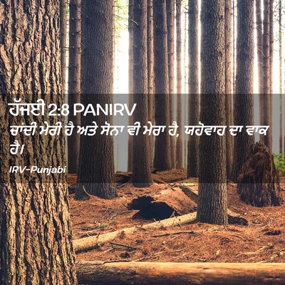 Picture 02 - ਹੱਜਈ 2:8 PANIRV - ਚਾਂਦੀ ਮੇਰੀ ਹੈ ਅਤੇ - Bible Verse Picture