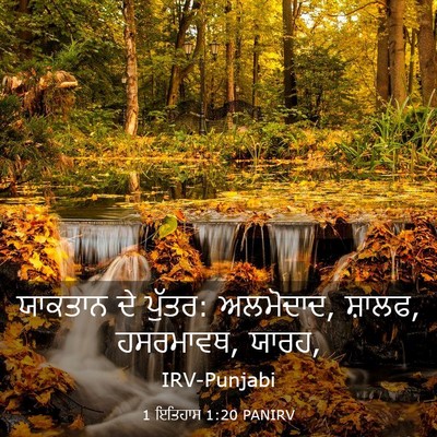 Picture 03 - 1 ਇਤਿਹਾਸ 1:20 PANIRV - ਯਾਕਤਾਨ ਦੇ ਪੁੱਤਰ: - Bible Verse Picture