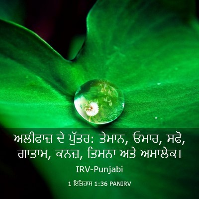Picture 03 - 1 ਇਤਿਹਾਸ 1:36 PANIRV - ਅਲੀਫਾਜ਼ ਦੇ ਪੁੱਤਰ: - Bible Verse Picture