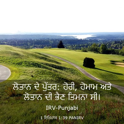 Picture 03 - 1 ਇਤਿਹਾਸ 1:39 PANIRV - ਲੋਤਾਨ ਦੇ ਪੁੱਤਰ: - Bible Verse Picture