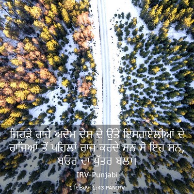 Picture 03 - 1 ਇਤਿਹਾਸ 1:43 PANIRV - ਜਿਹੜੇ ਰਾਜੇ ਅਦੋਮ - Bible Verse Picture