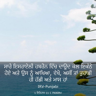Picture 03 - 1 ਇਤਿਹਾਸ 11:1 PANIRV - ਸਾਰੇ ਇਸਰਾਏਲੀ - Bible Verse Picture