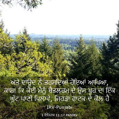 Picture 03 - 1 ਇਤਿਹਾਸ 11:17 PANIRV - ਅਤੇ ਦਾਊਦ ਨੇ - Bible Verse Picture