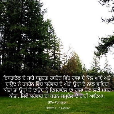 Picture 03 - 1 ਇਤਿਹਾਸ 11:3 PANIRV - ਇਸਰਾਏਲ ਦੇ ਸਾਰੇ - Bible Verse Picture
