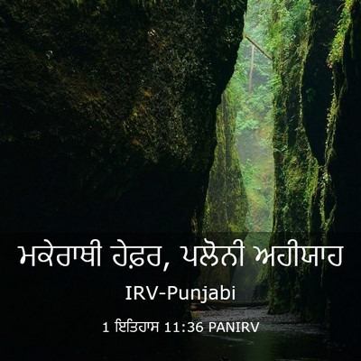 Picture 03 - 1 ਇਤਿਹਾਸ 11:36 PANIRV - ਮਕੇਰਾਥੀ ਹੇਫ਼ਰ, - Bible Verse Picture