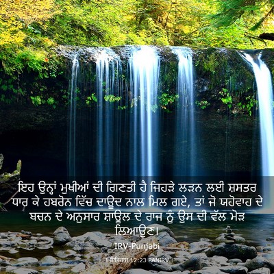 Picture 03 - 1 ਇਤਿਹਾਸ 12:23 PANIRV - ਇਹ ਉਨ੍ਹਾਂ ਮੁਖੀਆਂ - Bible Verse Picture