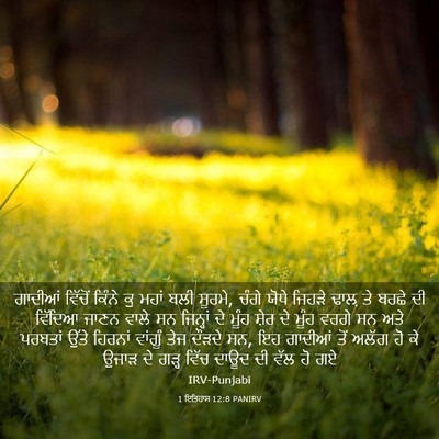 Picture 03 - 1 ਇਤਿਹਾਸ 12:8 PANIRV - ਗਾਦੀਆਂ ਵਿੱਚੋਂ - Bible Verse Picture