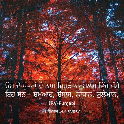 Picture 03 - 1 ਇਤਿਹਾਸ 14:4 PANIRV - ਉਸ ਦੇ ਪੁੱਤਰਾਂ ਦੇ - Bible Verse Picture