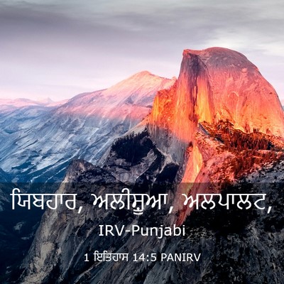 Picture 03 - 1 ਇਤਿਹਾਸ 14:5 PANIRV - ਯਿਬਹਾਰ, ਅਲੀਸ਼ੂਆ, - Bible Verse Picture