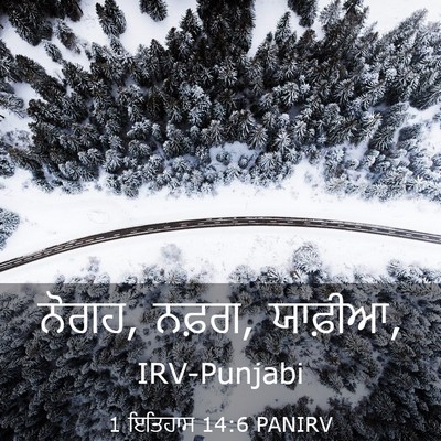 Picture 03 - 1 ਇਤਿਹਾਸ 14:6 PANIRV - ਨੋਗਹ, ਨਫ਼ਗ, - Bible Verse Picture