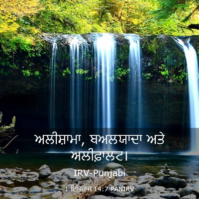 Picture 03 - 1 ਇਤਿਹਾਸ 14:7 PANIRV - ਅਲੀਸ਼ਾਮਾ, ਬਅਲਯਾਦਾ - Bible Verse Picture