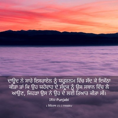 Picture 03 - 1 ਇਤਿਹਾਸ 15:3 PANIRV - ਦਾਊਦ ਨੇ ਸਾਰੇ - Bible Verse Picture