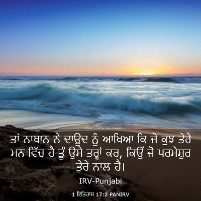 Picture 03 - 1 ਇਤਿਹਾਸ 17:2 PANIRV - ਤਾਂ ਨਾਥਾਨ ਨੇ ਦਾਊਦ - Bible Verse Picture