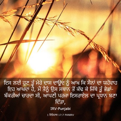Picture 03 - 1 ਇਤਿਹਾਸ 17:7 PANIRV - ਇਸ ਲਈ ਹੁਣ ਤੂੰ ਮੇਰੇ - Bible Verse Picture