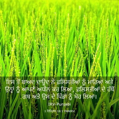 Picture 03 - 1 ਇਤਿਹਾਸ 18:1 PANIRV - ਇਸ ਤੋਂ ਬਾਅਦ ਦਾਊਦ ਨੇ - Bible Verse Picture