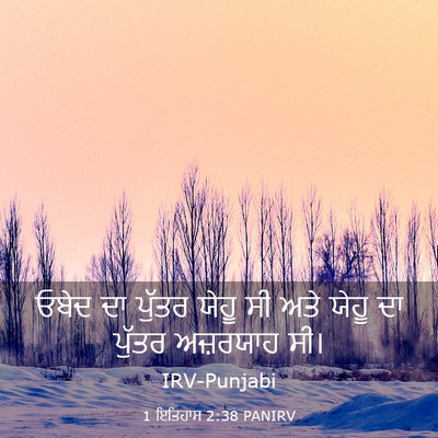 Picture 03 - 1 ਇਤਿਹਾਸ 2:38 PANIRV - ਓਬੇਦ ਦਾ ਪੁੱਤਰ ਯੇਹੂ - Bible Verse Picture