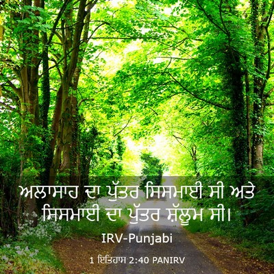 Picture 03 - 1 ਇਤਿਹਾਸ 2:40 PANIRV - ਅਲਾਸਾਹ ਦਾ ਪੁੱਤਰ - Bible Verse Picture