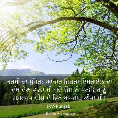 Picture 03 - 1 ਇਤਿਹਾਸ 2:7 PANIRV - ਕਰਮੀ ਦਾ ਪੁੱਤਰ: ਆਕਾਰ - Bible Verse Picture