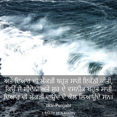 Picture 03 - 1 ਇਤਿਹਾਸ 22:4 PANIRV - ਅਤੇ ਦਿਆਰ ਦੀ ਲੱਕੜੀ - Bible Verse Picture