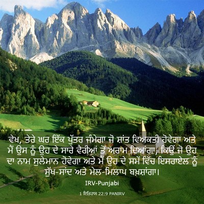 Picture 03 - 1 ਇਤਿਹਾਸ 22:9 PANIRV - ਵੇਖ, ਤੇਰੇ ਘਰ ਇੱਕ - Bible Verse Picture