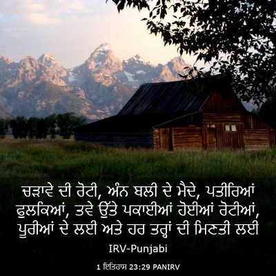 Picture 03 - 1 ਇਤਿਹਾਸ 23:29 PANIRV - ਚੜਾਵੇ ਦੀ ਰੋਟੀ, ਅੰਨ - Bible Verse Picture