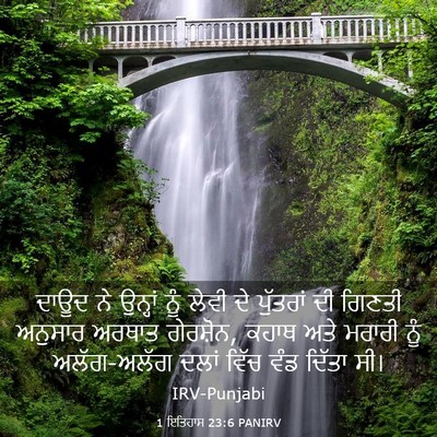 Picture 03 - 1 ਇਤਿਹਾਸ 23:6 PANIRV - ਦਾਊਦ ਨੇ ਉਨ੍ਹਾਂ ਨੂੰ - Bible Verse Picture