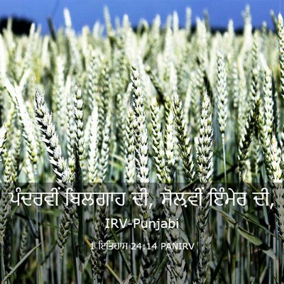 Picture 03 - 1 ਇਤਿਹਾਸ 24:14 PANIRV - ਪੰਦਰਵੀਂ ਬਿਲਗਾਹ ਦੀ, - Bible Verse Picture