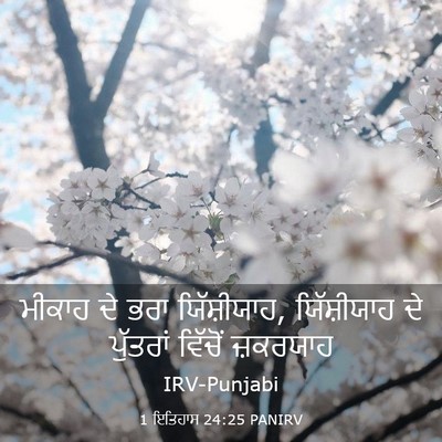Picture 03 - 1 ਇਤਿਹਾਸ 24:25 PANIRV - ਮੀਕਾਹ ਦੇ ਭਰਾ - Bible Verse Picture