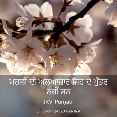 Picture 03 - 1 ਇਤਿਹਾਸ 24:28 PANIRV - ਮਹਲੀ ਦੀ ਅਲਆਜ਼ਾਰ - Bible Verse Picture