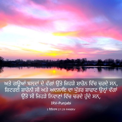 Picture 03 - 1 ਇਤਿਹਾਸ 27:29 PANIRV - ਅਤੇ ਗਊਆਂ ਬਲ਼ਦਾਂ ਦੇ - Bible Verse Picture