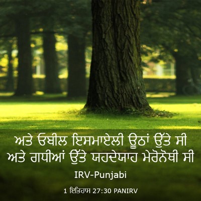 Picture 03 - 1 ਇਤਿਹਾਸ 27:30 PANIRV - ਅਤੇ ਓਬੀਲ ਇਸਮਾਏਲੀ - Bible Verse Picture