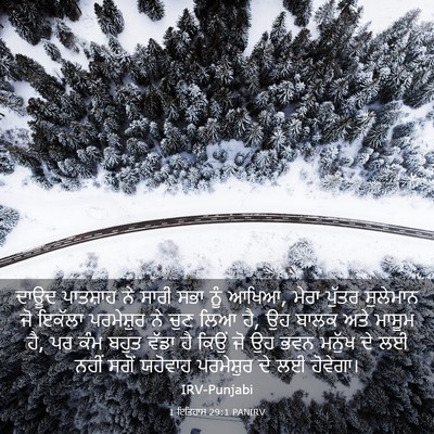 Picture 03 - 1 ਇਤਿਹਾਸ 29:1 PANIRV - ਦਾਊਦ ਪਾਤਸ਼ਾਹ ਨੇ - Bible Verse Picture