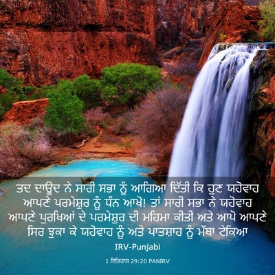 Picture 03 - 1 ਇਤਿਹਾਸ 29:20 PANIRV - ਤਦ ਦਾਊਦ ਨੇ ਸਾਰੀ ਸਭਾ - Bible Verse Picture