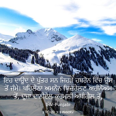 Picture 03 - 1 ਇਤਿਹਾਸ 3:1 PANIRV - ਇਹ ਦਾਊਦ ਦੇ ਪੁੱਤਰ ਸਨ - Bible Verse Picture