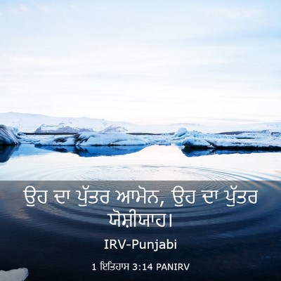 Picture 03 - 1 ਇਤਿਹਾਸ 3:14 PANIRV - ਉਹ ਦਾ ਪੁੱਤਰ ਆਮੋਨ, - Bible Verse Picture