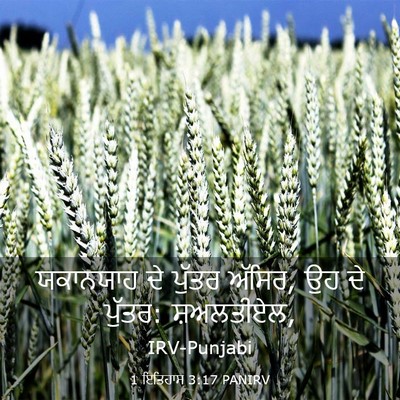 Picture 03 - 1 ਇਤਿਹਾਸ 3:17 PANIRV - ਯਕਾਨਯਾਹ ਦੇ ਪੁੱਤਰ - Bible Verse Picture