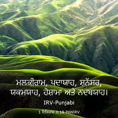 Picture 03 - 1 ਇਤਿਹਾਸ 3:18 PANIRV - ਮਲਕੀਰਾਮ, ਪਦਾਯਾਹ, - Bible Verse Picture