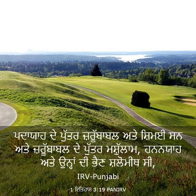 Picture 03 - 1 ਇਤਿਹਾਸ 3:19 PANIRV - ਪਦਾਯਾਹ ਦੇ ਪੁੱਤਰ - Bible Verse Picture
