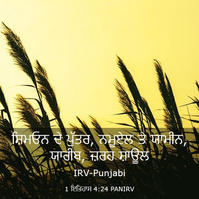 Picture 03 - 1 ਇਤਿਹਾਸ 4:24 PANIRV - ਸ਼ਿਮਓਨ ਦੇ ਪੁੱਤਰ, - Bible Verse Picture