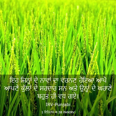 Picture 03 - 1 ਇਤਿਹਾਸ 4:38 PANIRV - ਇਹ ਜਿਨ੍ਹਾਂ ਦੇ - Bible Verse Picture