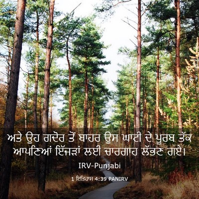 Picture 03 - 1 ਇਤਿਹਾਸ 4:39 PANIRV - ਅਤੇ ਉਹ ਗਦੋਰ ਤੋਂ - Bible Verse Picture