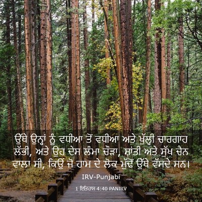 Picture 03 - 1 ਇਤਿਹਾਸ 4:40 PANIRV - ਉੱਥੇ ਉਨ੍ਹਾਂ ਨੂੰ - Bible Verse Picture