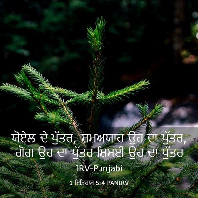 Picture 03 - 1 ਇਤਿਹਾਸ 5:4 PANIRV - ਯੋਏਲ ਦੇ ਪੁੱਤਰ, - Bible Verse Picture