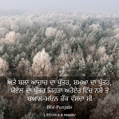 Picture 03 - 1 ਇਤਿਹਾਸ 5:8 PANIRV - ਅਤੇ ਬਲਾ ਆਜ਼ਾਜ਼ ਦਾ - Bible Verse Picture