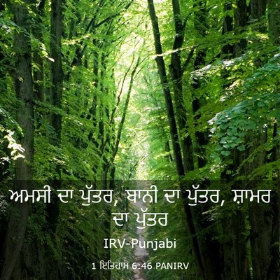 Picture 03 - 1 ਇਤਿਹਾਸ 6:46 PANIRV - ਅਮਸੀ ਦਾ ਪੁੱਤਰ, ਬਾਨੀ - Bible Verse Picture