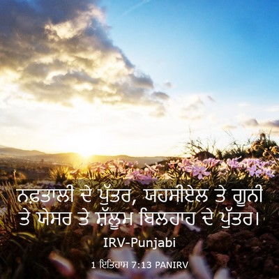 Picture 03 - 1 ਇਤਿਹਾਸ 7:13 PANIRV - ਨਫ਼ਤਾਲੀ ਦੇ ਪੁੱਤਰ, - Bible Verse Picture