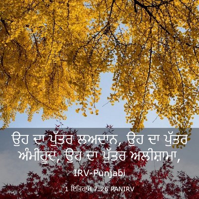 Picture 03 - 1 ਇਤਿਹਾਸ 7:26 PANIRV - ਉਹ ਦਾ ਪੁੱਤਰ ਲਅਦਾਨ, - Bible Verse Picture